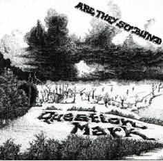 Question-Mark : Are They So Blind